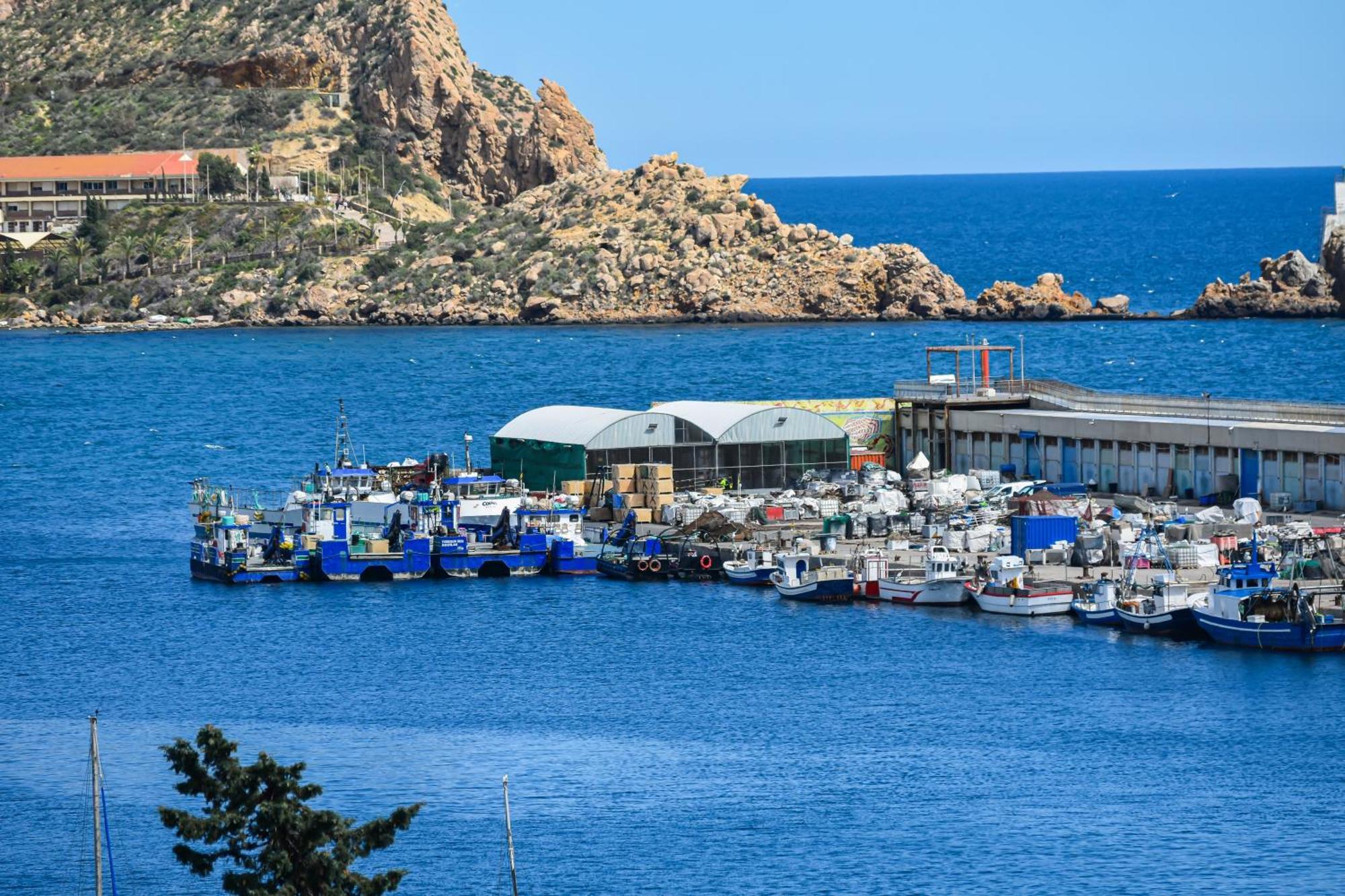 Dream View Aguilas - By Aloha Palma Esterno foto