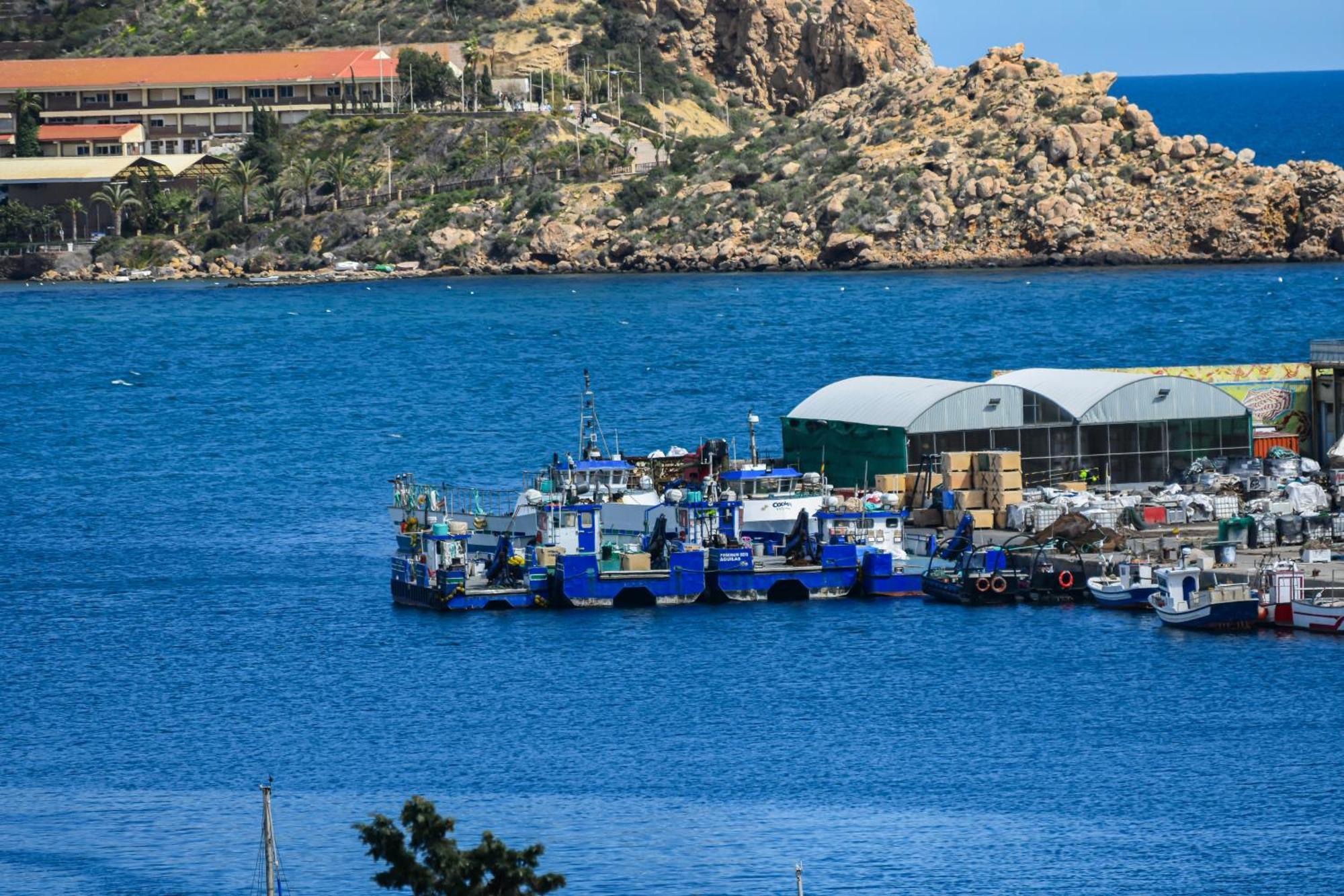 Dream View Aguilas - By Aloha Palma Esterno foto